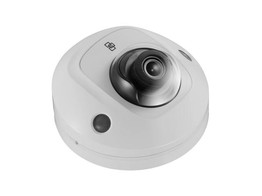 TRUVISION IP WEDGE CAMERA 2 MPX - 2.8MM   F2.0